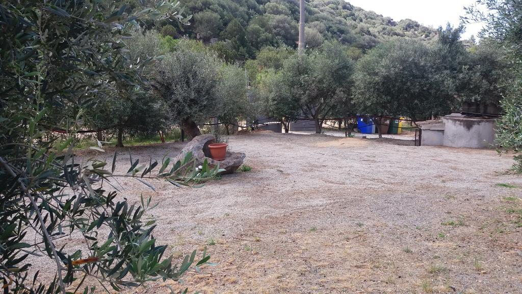 Sumindulau Bed & Breakfast Torre delle Stelle Exterior foto