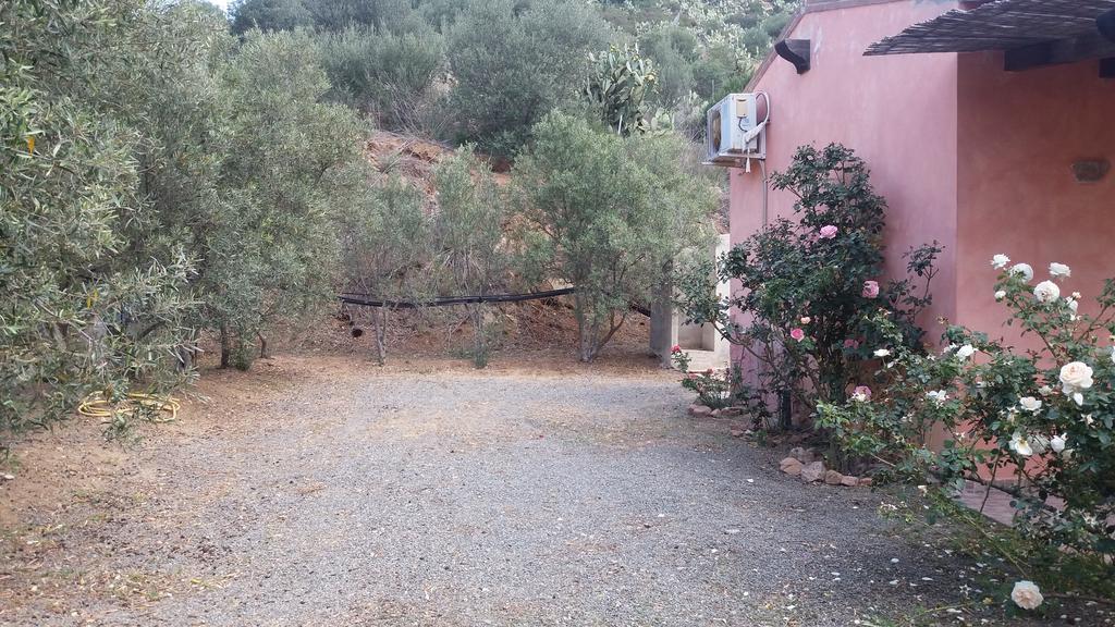 Sumindulau Bed & Breakfast Torre delle Stelle Exterior foto